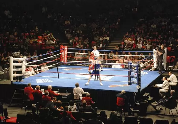 Canvas Boxing Ring Cover Canvas Boxing Ring Cover