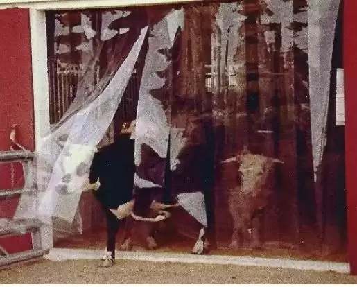 Clear Strip Curtains | PVC Strip Doors