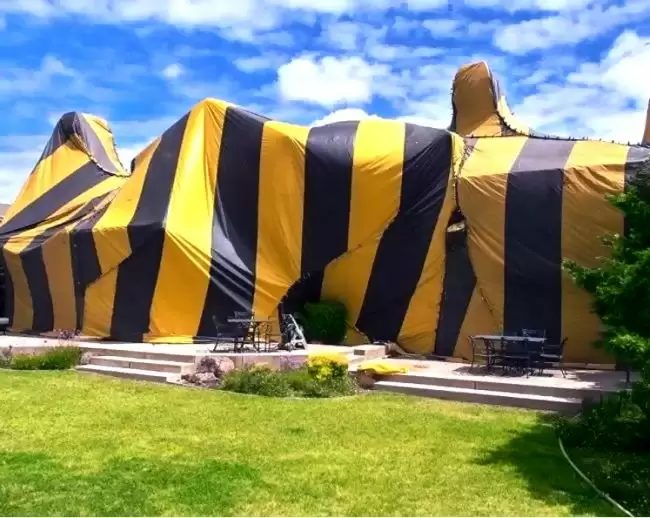 Fumigation Tarps from TarpsNow.com, Photo #1