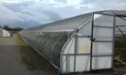 Greenhouse Covers - Sheet Material - No Hems