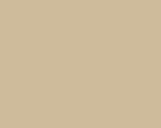 Mocha Awning Vinyl