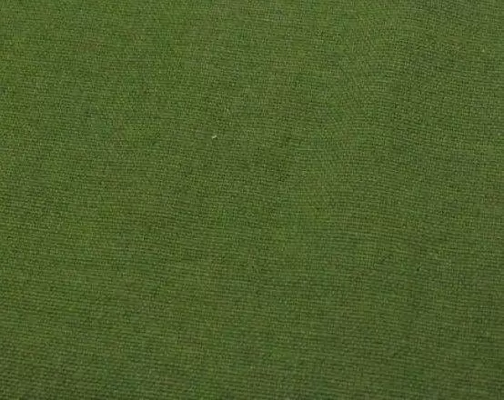 Olive Canvas Color