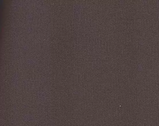 Brown Canvas Color