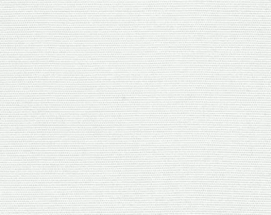 White Canvas Color