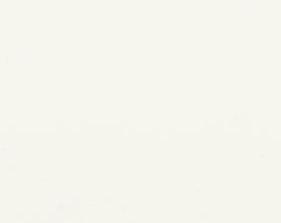 White Fire Retardant Canvas