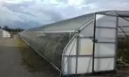 Greenhouse Covers - Poly Material