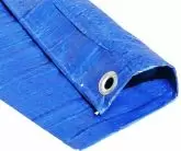 Blue Tarps