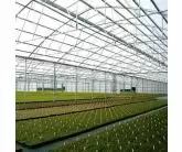 Greenhouse Poly