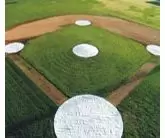 Baseball Plate Covers