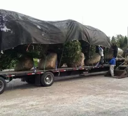 Lawn Care and Landscaping Covers