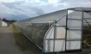 Greenhouse Tarps and Sheeting
